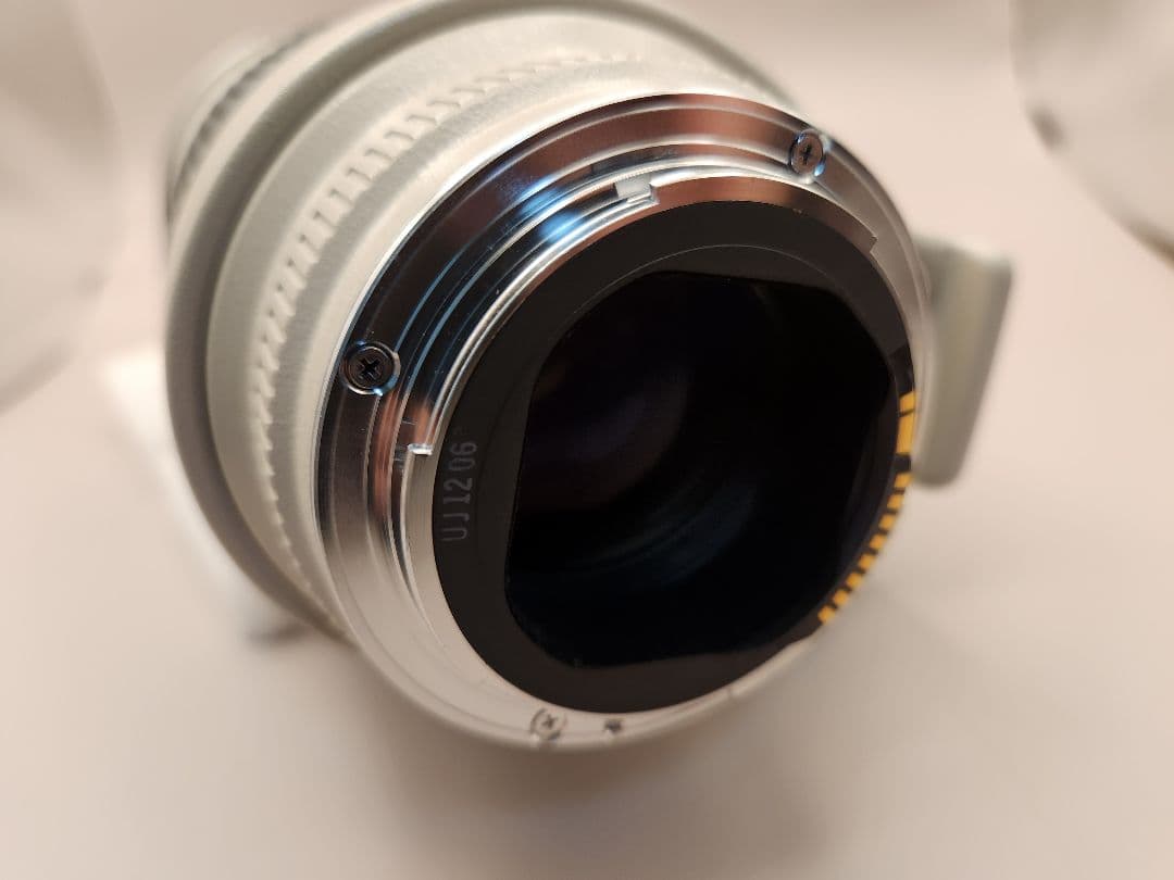 Zoom Lenses Canon Ef70-200Mm F/2.8L