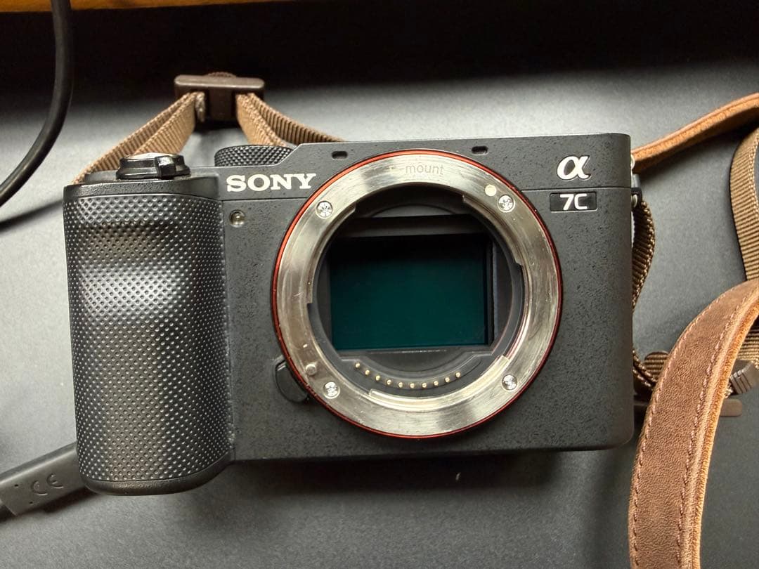 Sony Mirrorless Interchangeable Lens Cameras 7C