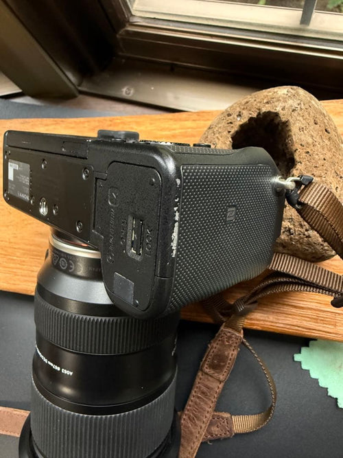 Sony Mirrorless Interchangeable Lens Cameras 7C