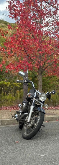 Motorcycle Frames 250