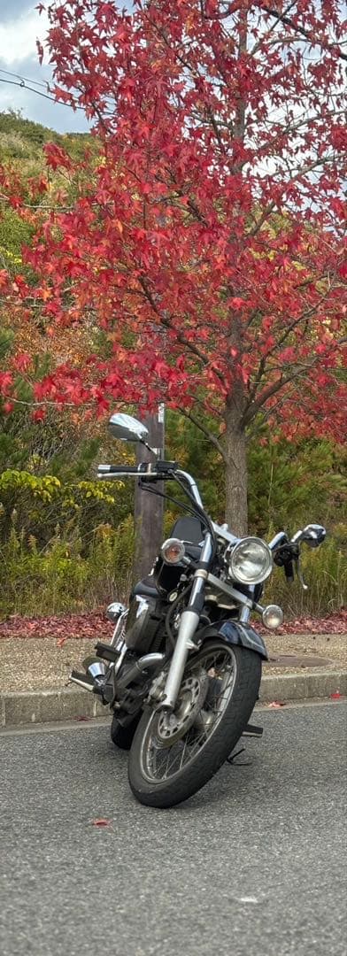 Motorcycle Frames 250