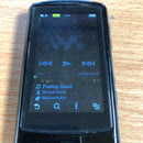 Sony Digital Audio Player Walkman Nw-A866 32Gb