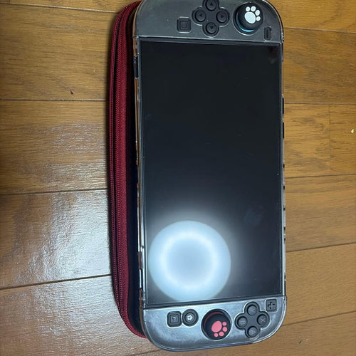 Nintendo Switch Body 2