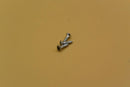 Rod Cover Yamaha Sf700 (Sf500/Sf1000)
