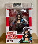 Kotobukiya Others