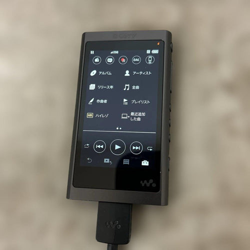 Sony Digital Audio Players Nw-A55