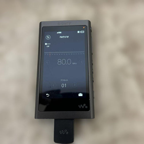 Sony Digital Audio Players Nw-A55