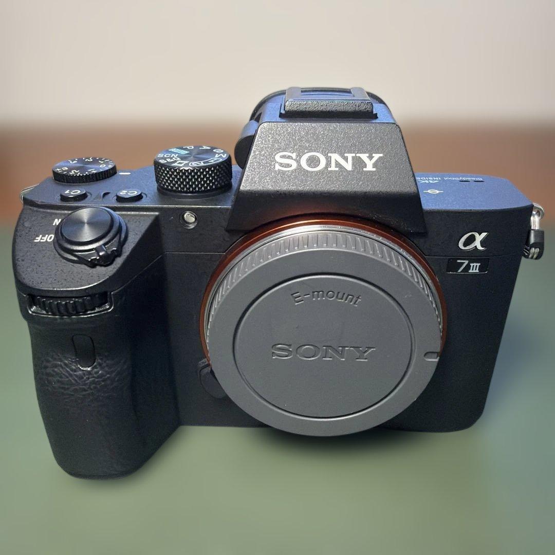 Sony Mirrorless Interchangeable Lens Cameras 2854 7