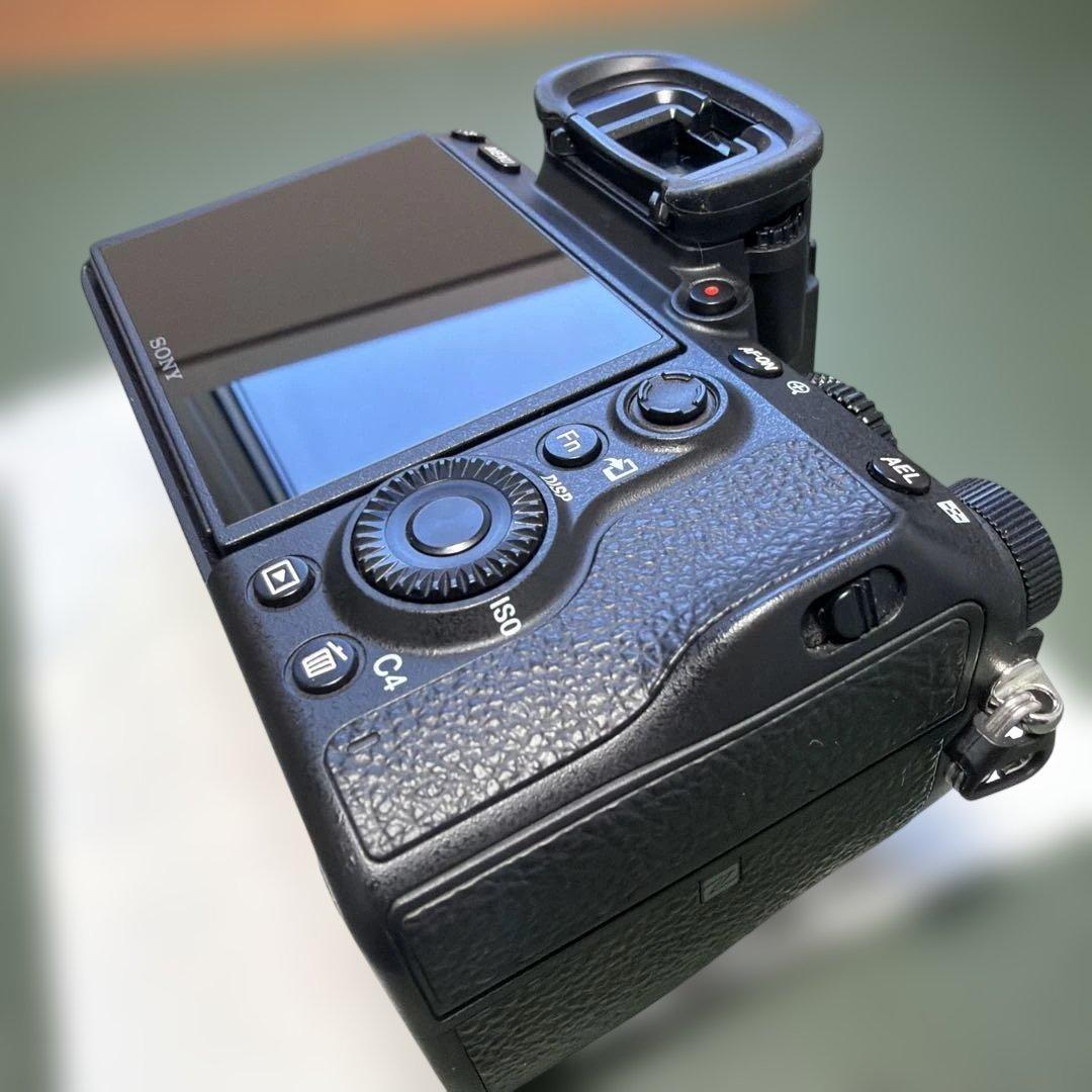 Sony Mirrorless Interchangeable Lens Cameras 2854 7