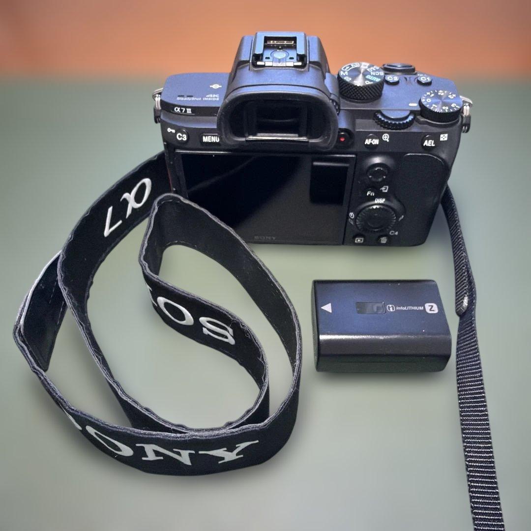 Sony Mirrorless Interchangeable Lens Cameras 2854 7