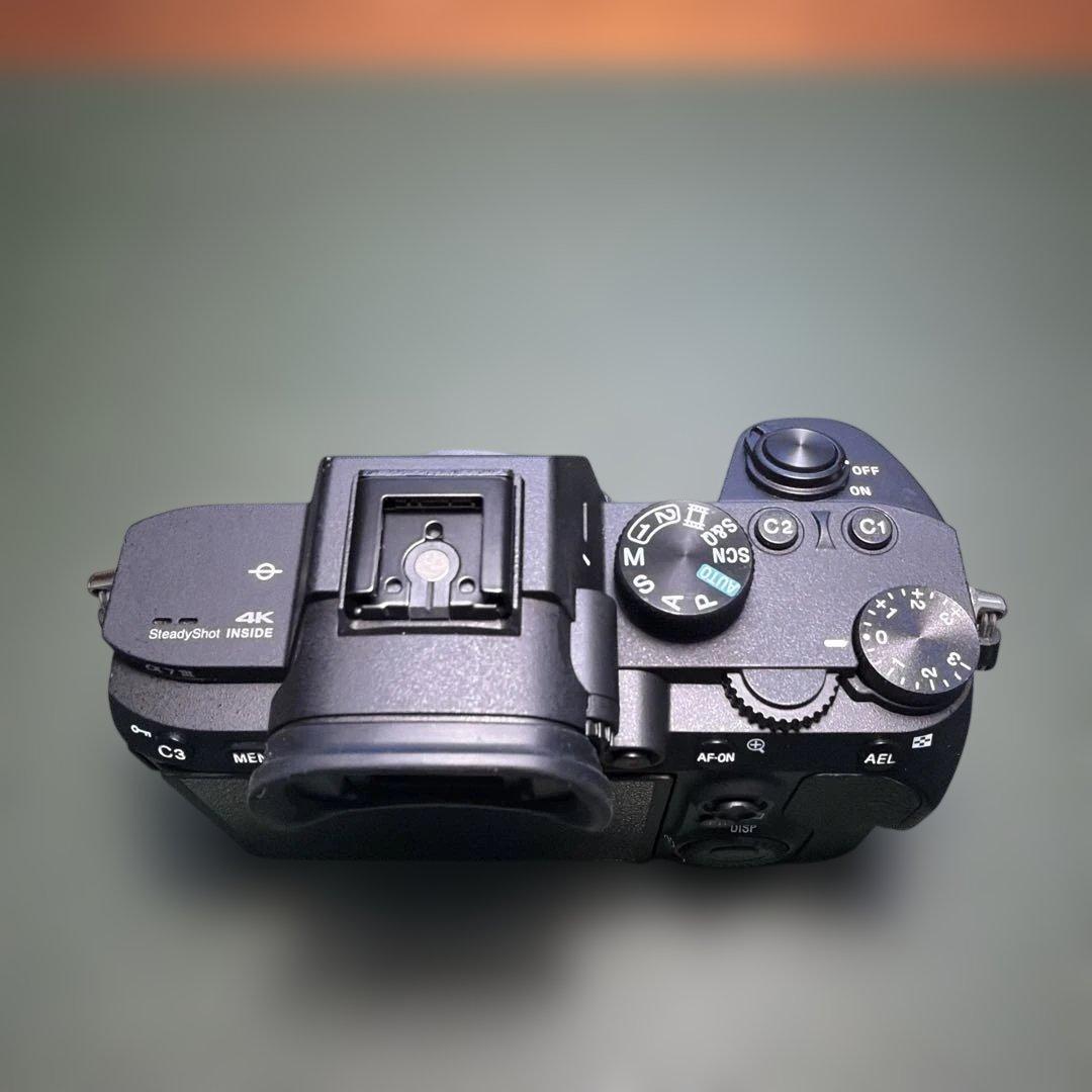 Sony Mirrorless Interchangeable Lens Cameras 2854 7