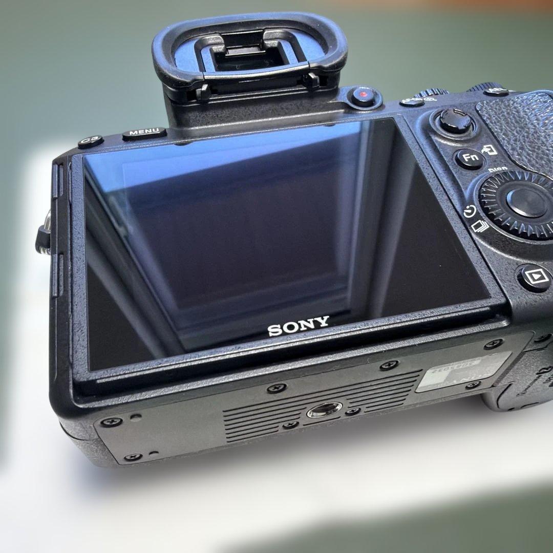 Sony Mirrorless Interchangeable Lens Cameras 2854 7