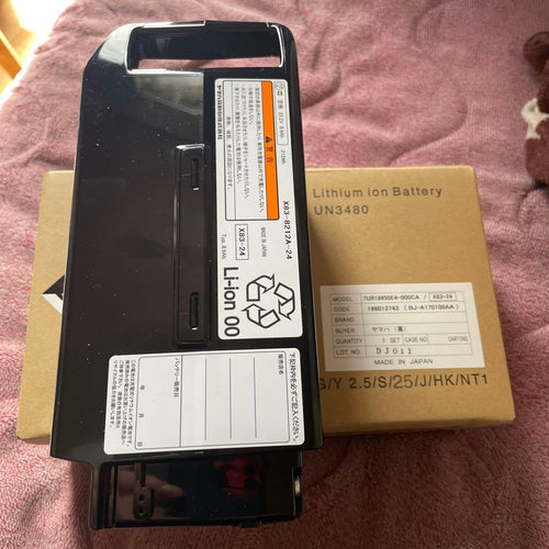 Yamaha Battery Body 8.9Ah