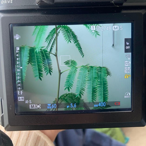 Fujifilm Lens (Zoom) Gf100-200Mm F5.6 R Lm Ois Wr Gf