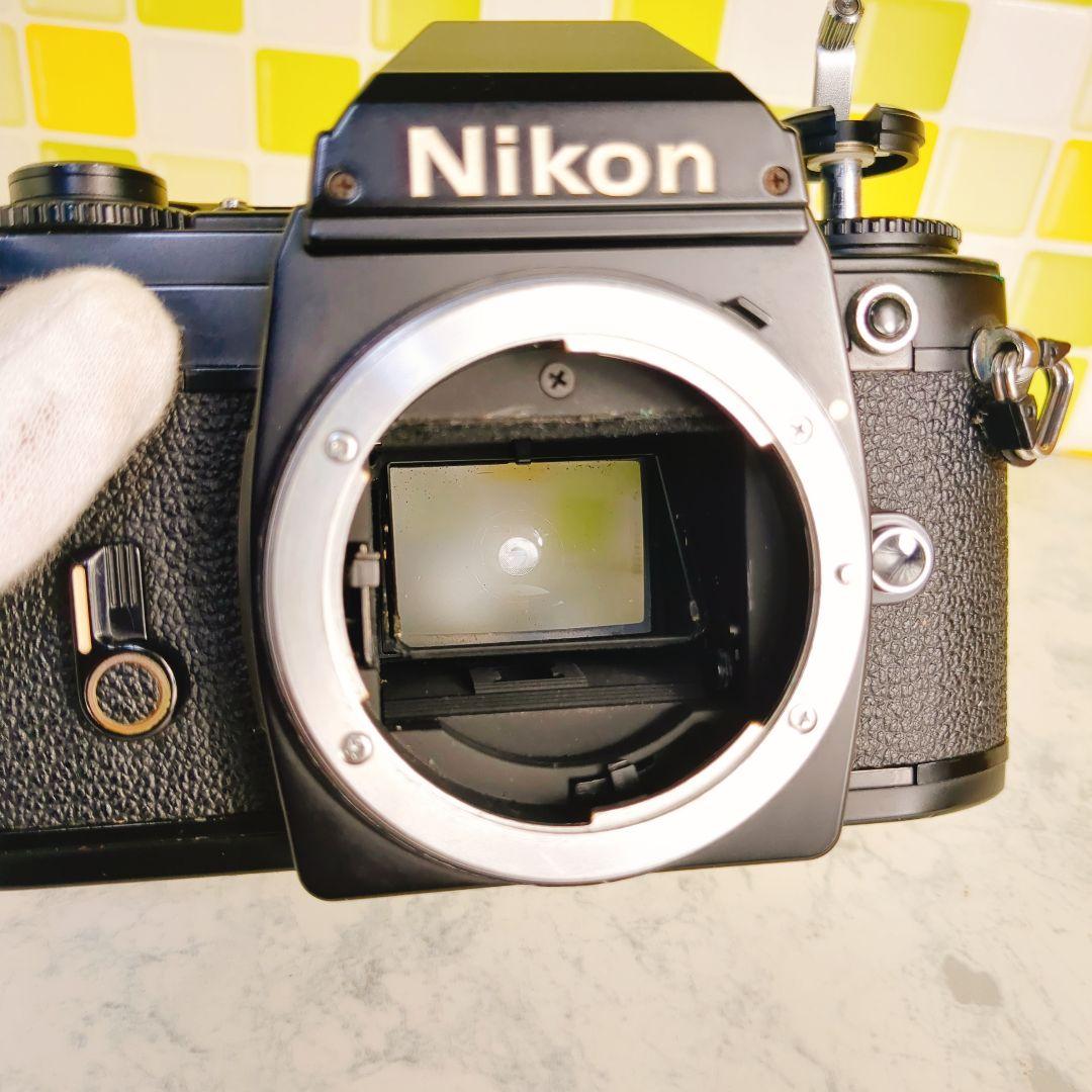 Nikon Slr Camera (Film) Fg
