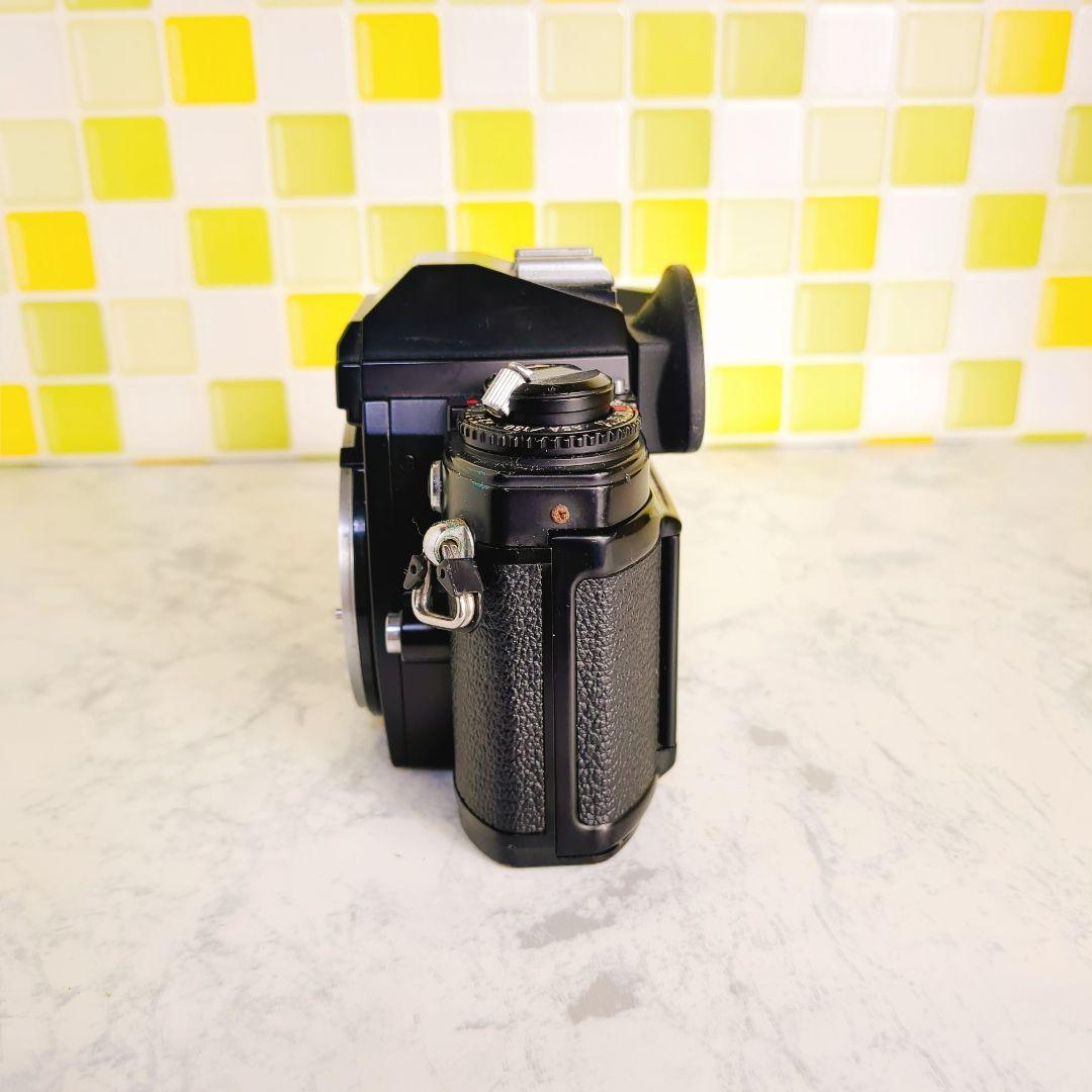Nikon Slr Camera (Film) Fg