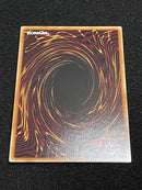 Yu-Gi-Oh! Ocg Duel Monsters (Japanese) G*X 5