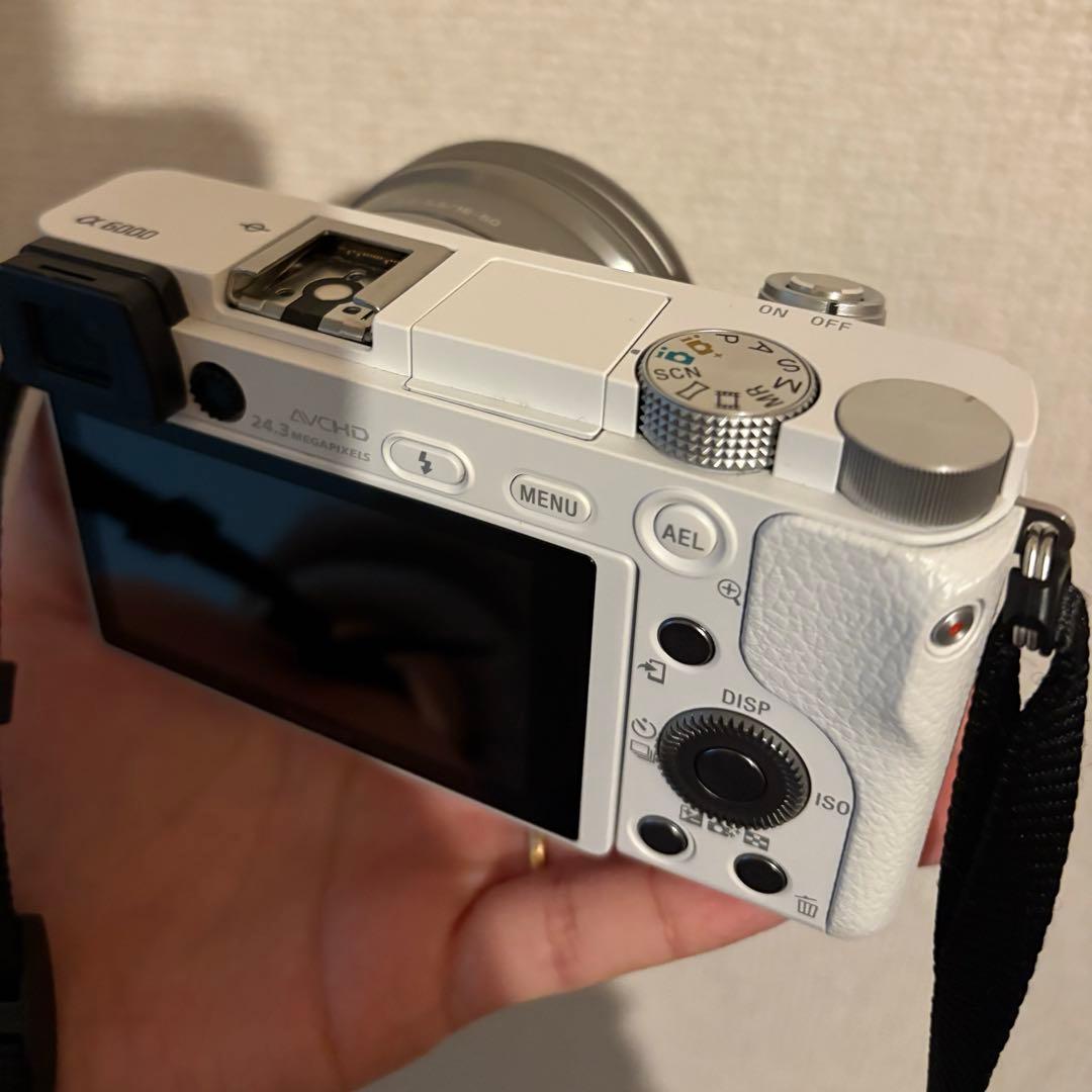 Sony Mirrorless Interchangeable Lens Cameras A6000