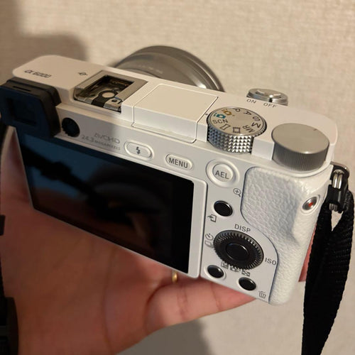 Sony Mirrorless Interchangeable Lens Cameras A6000