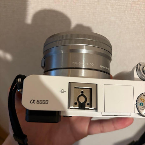 Sony Mirrorless Interchangeable Lens Cameras A6000