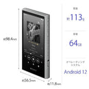 Sony Others Walkman A [64Gb/2023 Nw-A307 Hc