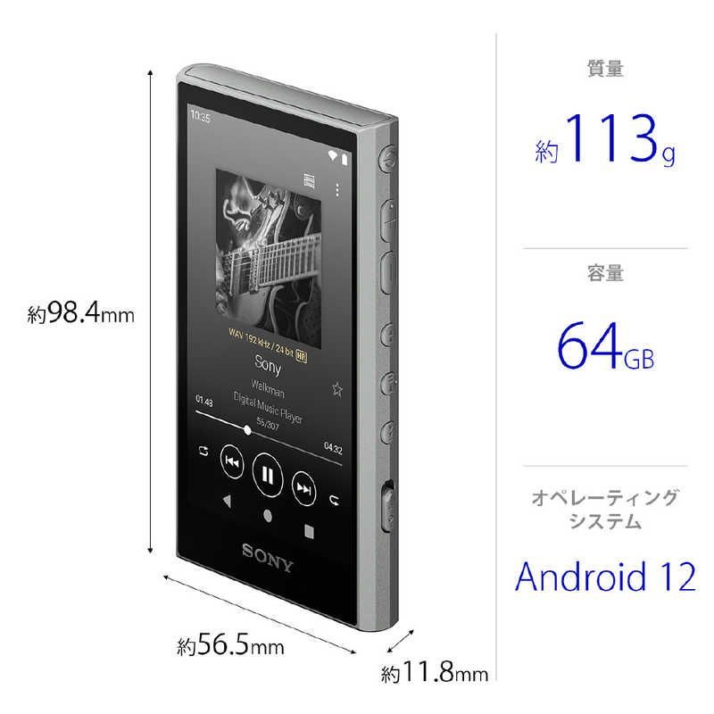 Sony Others Walkman A [64Gb/2023 Nw-A307 Hc