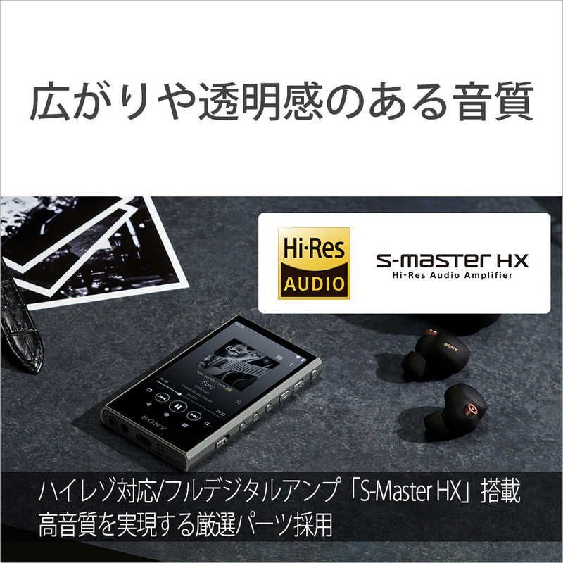 Sony Others Walkman A [64Gb/2023 Nw-A307 Hc