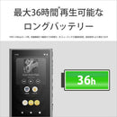 Sony Others Walkman A [64Gb/2023 Nw-A307 Hc