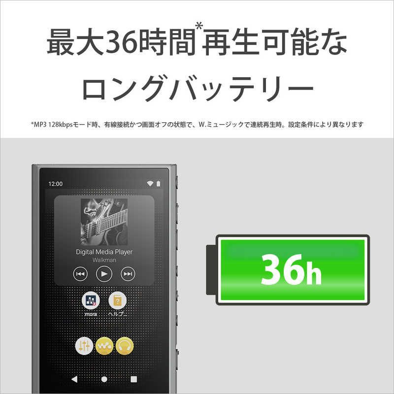 Sony Others Walkman A [64Gb/2023 Nw-A307 Hc