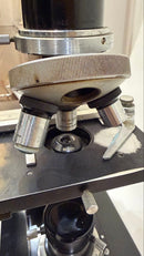Nikon Microscope