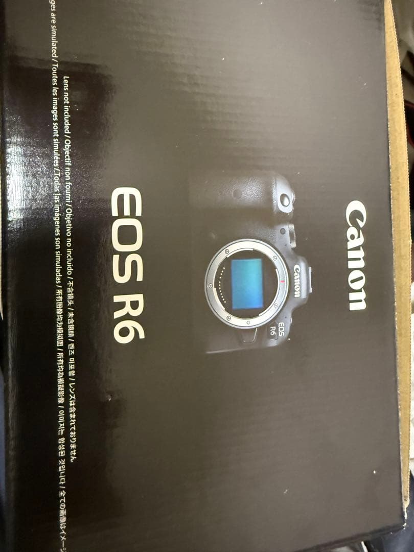 Canon Mirrorless Interchangeable Lens Cameras Eos R6