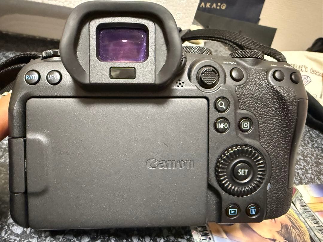 Canon Mirrorless Interchangeable Lens Cameras Eos R6