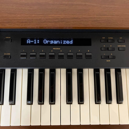 Other Korg Cx-3