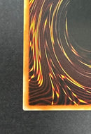 Yu -Gi -Oh! Ocg Duel Monsters 303-051