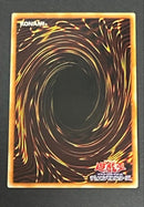 Yu -Gi -Oh! Ocg Duel Monsters 303-051