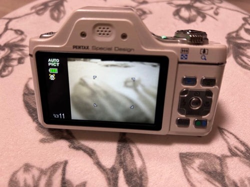 Pentax Compact Digital Cameras I-10