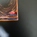 Yu-Gi-Oh! Ocg Duel Monsters (Japanese)