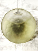 Yves Saint Laurent Perfume (Women) Ysl 50Ml