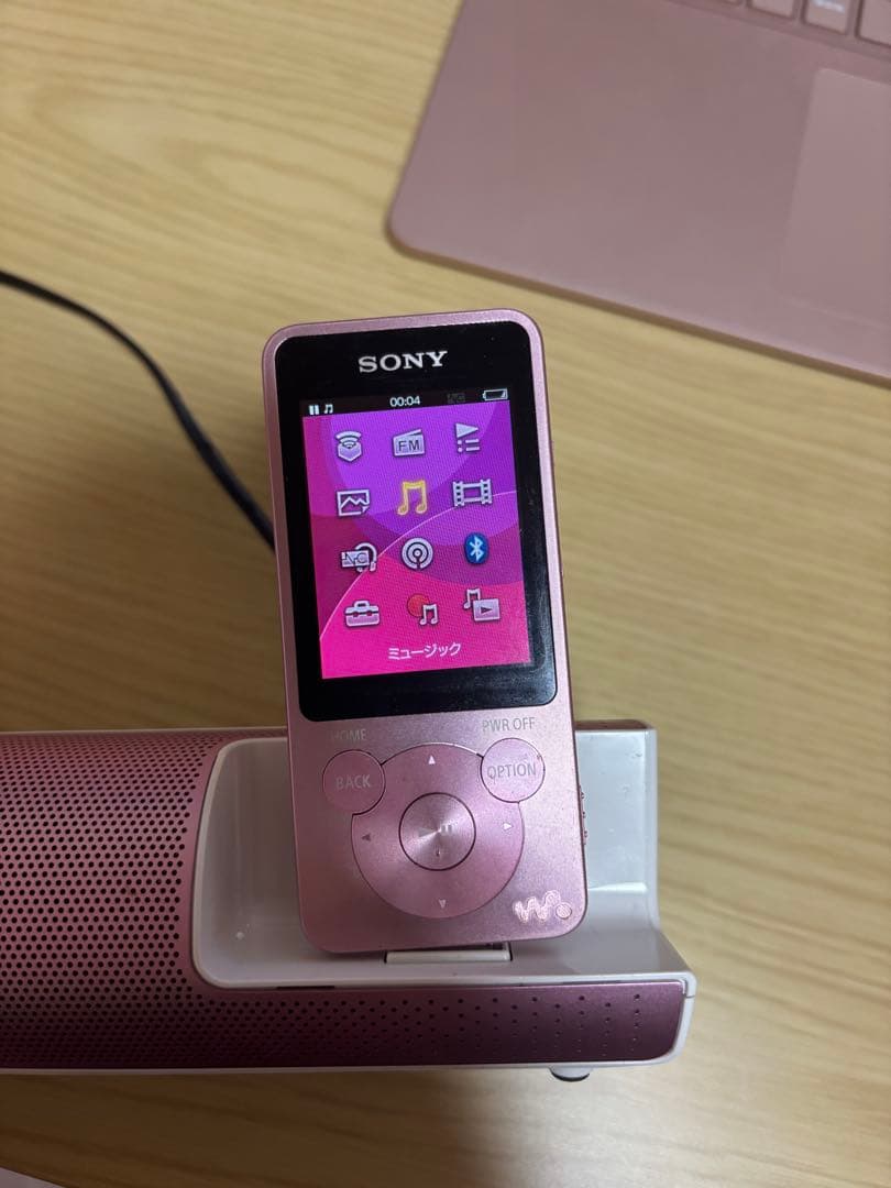 Digital Audio Players Sony Walkman Nw-S14K