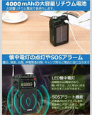 Radios Radio Cassette Players Zhiwhis Zws-702 Fm/Am/Sw