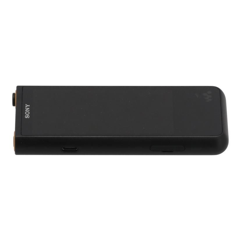Sony Digital Audio Player 64Gb Nw-Zx507 B 24