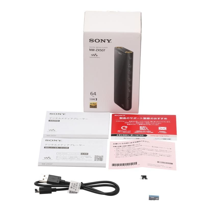 Sony Digital Audio Player 64Gb Nw-Zx507 B 24