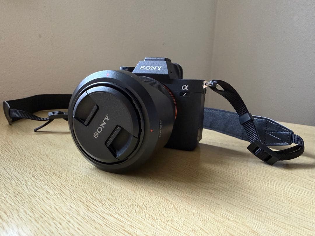 Sony Mirrorless Interchangeable Lens Cameras 270 7 Fe25-70Mm F3.5-5.6Oss