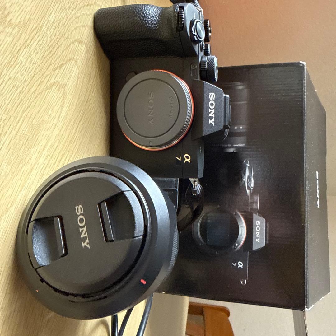 Sony Mirrorless Interchangeable Lens Cameras 270 7 Fe25-70Mm F3.5-5.6Oss