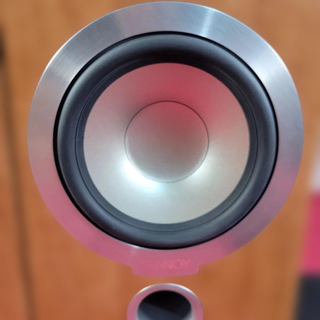 Tannoy Speakers Mercury V1I