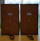 Toshiba Speakers Ss-V24W