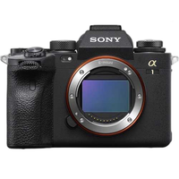Mirrorless Interchangeable Lips 1 [Ilce-1] Sony