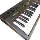 Roland Keyboard Electronic Piano Go-88P 23 88 Ac