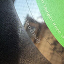 Western Music Ash Ra Tempel New Age Of Earth