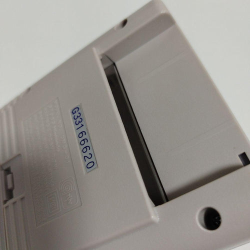 Nintendo Body (Game Boy)